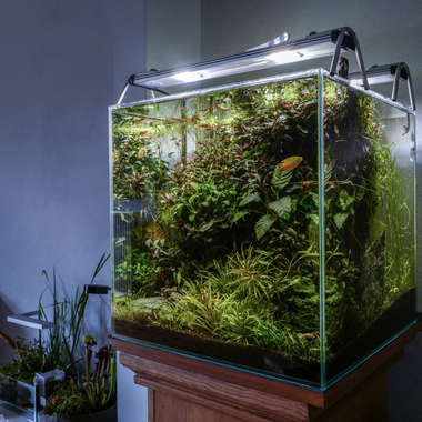 Aquarium CO2 System Specialists | Diffusers, Regulator CO2 systems